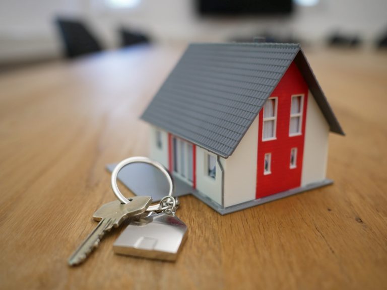 toy house and key